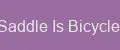 The Saddle Is Bicycle Max