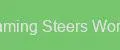 Gaming Steers Works