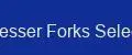 Desser Forks Select