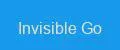 Invisible Go