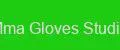 Mma Gloves Studio