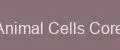 Animal Cells Core