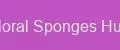 Floral Sponges Hub