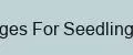 Packages For Seedlings Elite