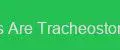 The Tubes Are Tracheostomic Studio