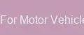 Mirrors For Motor Vehicles Core