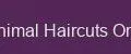 Animal Haircuts One