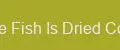 The Fish Is Dried Core