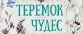 Теремок чудес