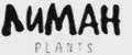Лиман Plants
