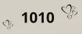 1010