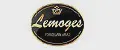 Lemoges Porcelain Arad