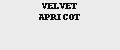 VELVET APRICOT
