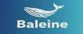 Baleine