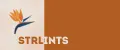 STRLINTS