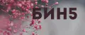 Бин5