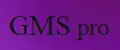GMS pro