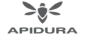 Apidura