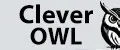 Clever Owl