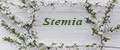 StemiA