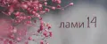 лами14