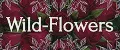 Wild-Flowers