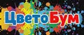 ЦветоБум