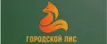 Городской Лис