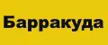 Барракуда