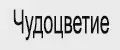Чудоцветие