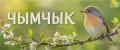 чымчык