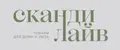СкандиЛайв