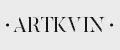 ARTKVIN