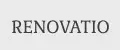 Renovatio team
