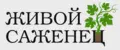 Живой саженец