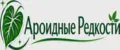 Ароидные Редкости