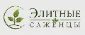 Элитные Саженцы