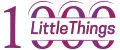 1000 Little Things
