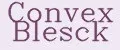Convex Blesck