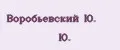 Воробьевский Ю. Ю.