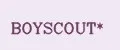BOYSCOUT*