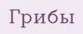 Грибы