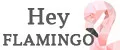 Hey FLAMINGO