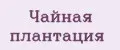 ЧАЙНАЯ ПЛАНТАЦИЯ