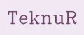 TeknuR