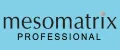 Mesomatrix Professional