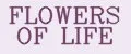 Flowers Of Life