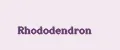 Rhododendron