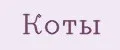 Коты