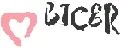BICER
